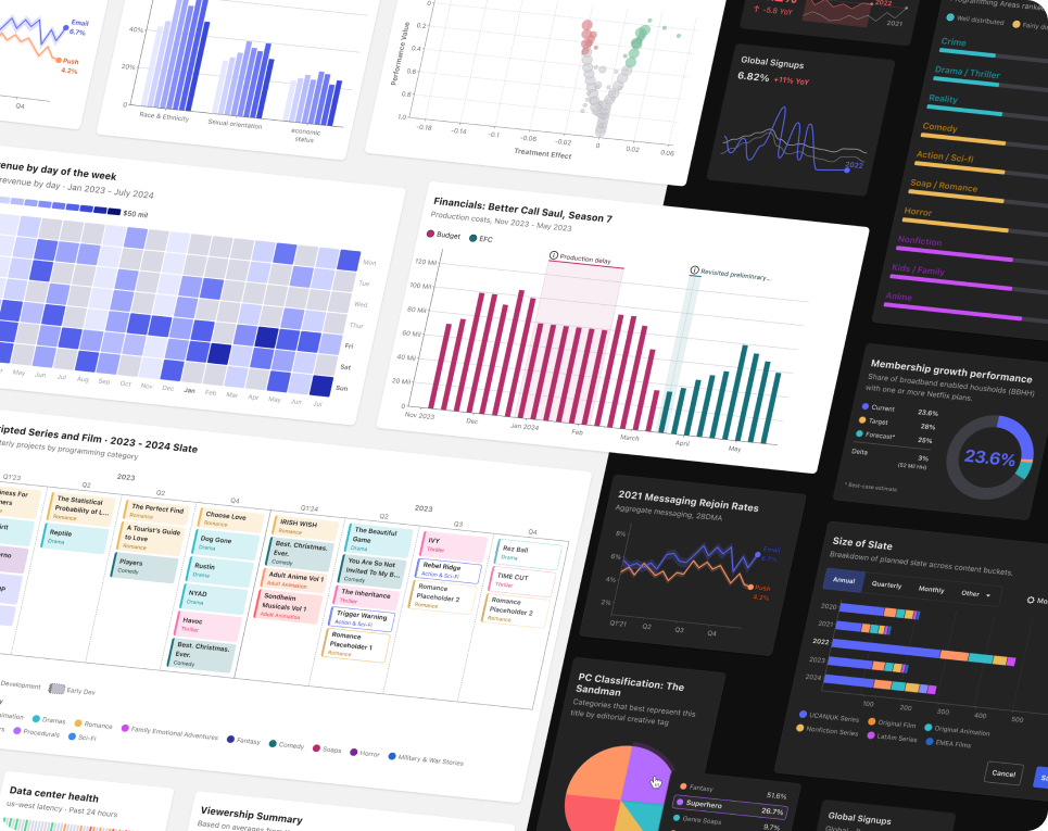 Unifying Data for Decision-Makers & Netflix hero image